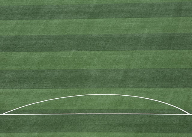 即将要以一 即将要以一