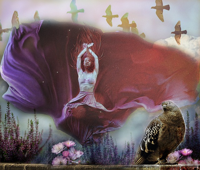 会全体会议 会全体会议