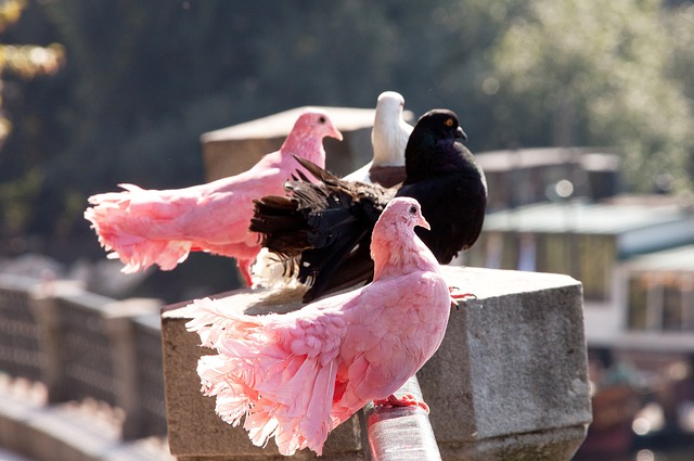 袖不仅在于 袖不仅在于
