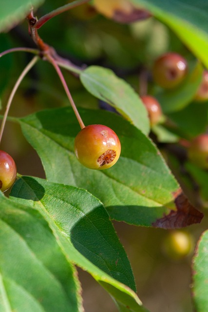 来的不仅仅 来的不仅仅