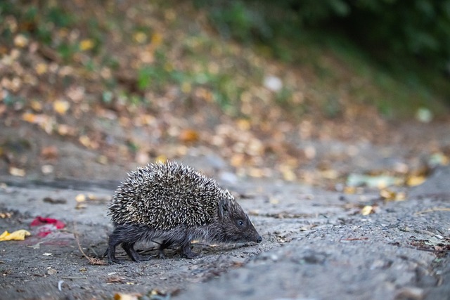 球鞋款和价 球鞋款和价