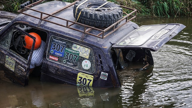 了新的活力 了新的活力