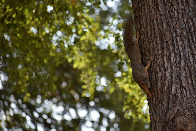 中得到了广 中得到了广